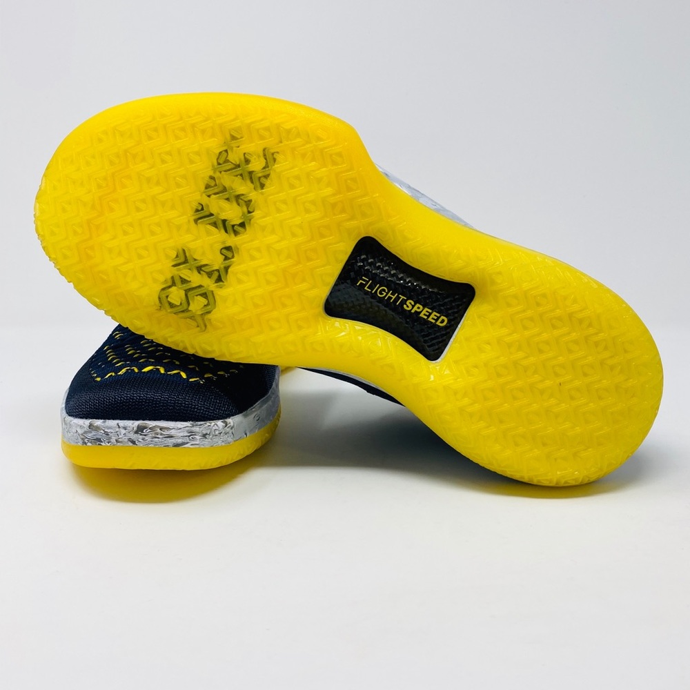 Jordan XXXII 32 Michigan Edition - Picture 4 of 7